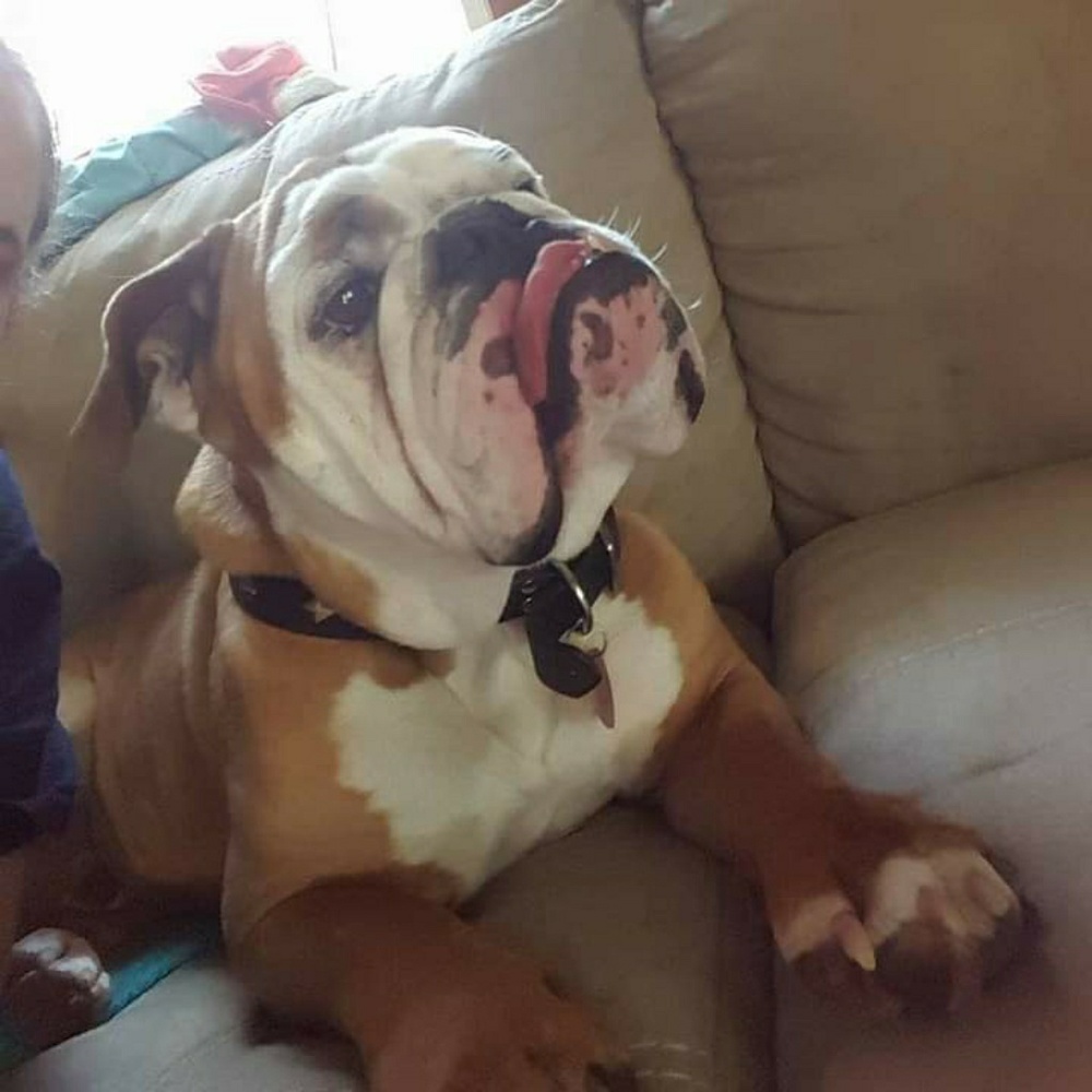 Meet your Posher, Dustin